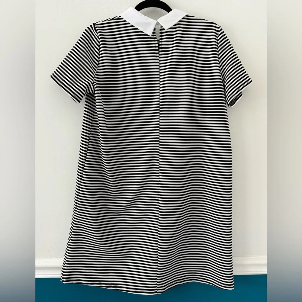 Zara Striped Short Sleeve Mini Dress with Collar size large - Picture 3 of 9